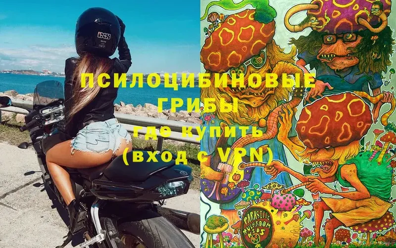 Псилоцибиновые грибы мухоморы  Кодинск 